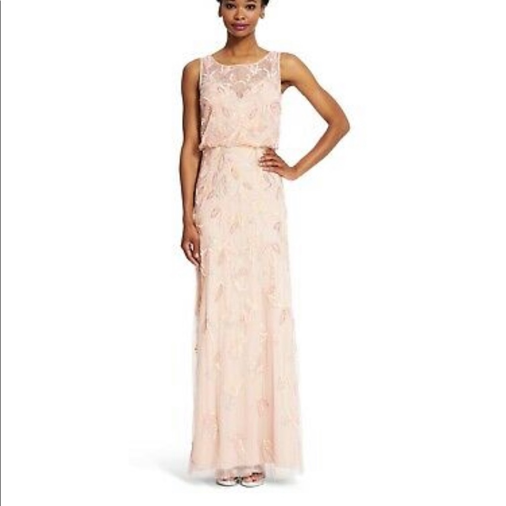 Adrianna Papell Blush Pink Embroidered Sleeveless Gown